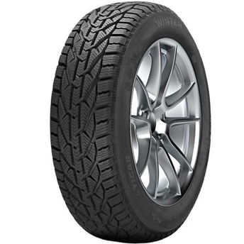 205/55R17 Winter 95V  нешипуемая